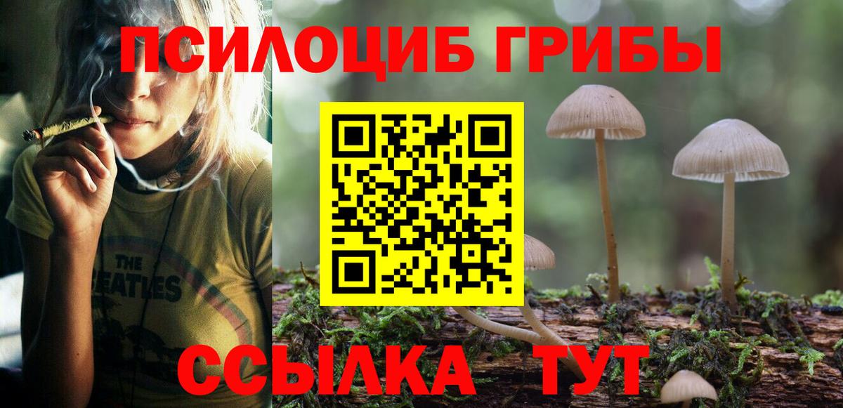 Галлюциногенные грибы прущие грибы  что такое наркотик  Малоярославец  Вход с VPN 